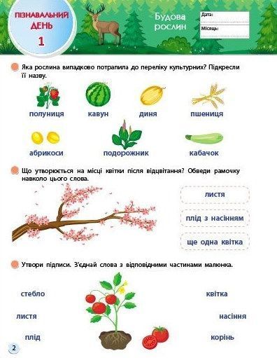 SMARTліто. Іду у 3 клас 10311024911 фото
