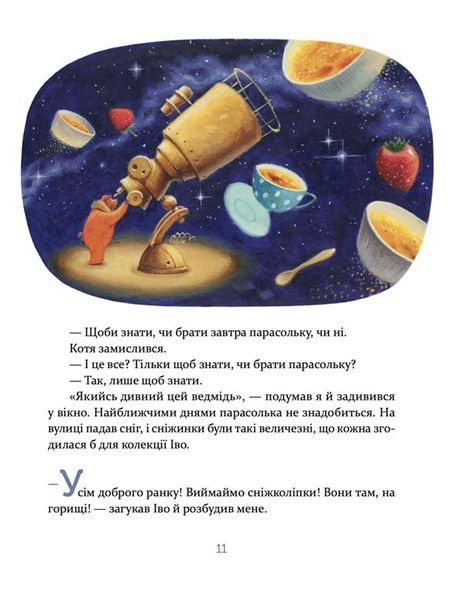 Єнотик Бо і дивний-дивний сніг. Книга 2 10311027507 фото