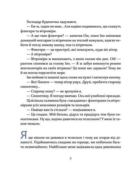 Єнотик Бо і дивний-дивний сніг. Книга 2 10311027507 фото