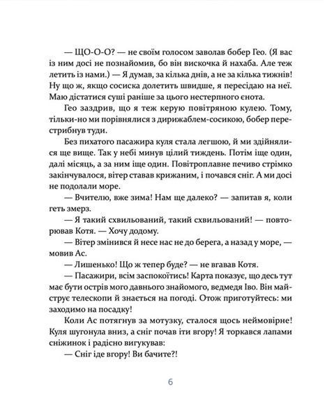 Єнотик Бо і дивний-дивний сніг. Книга 2 10311027507 фото