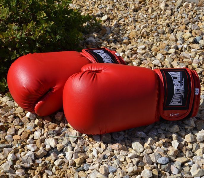 Боксерські рукавиці PowerPlay 3004 Classic Червоні 16 унцій PP_3004_16oz_Red фото