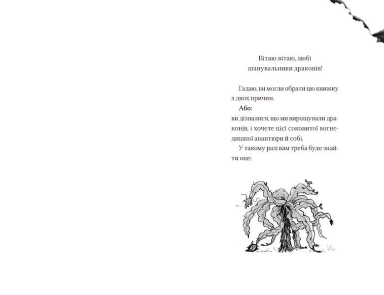 Хлопчик, який жив з драконами. Книга 2 10311014317 фото