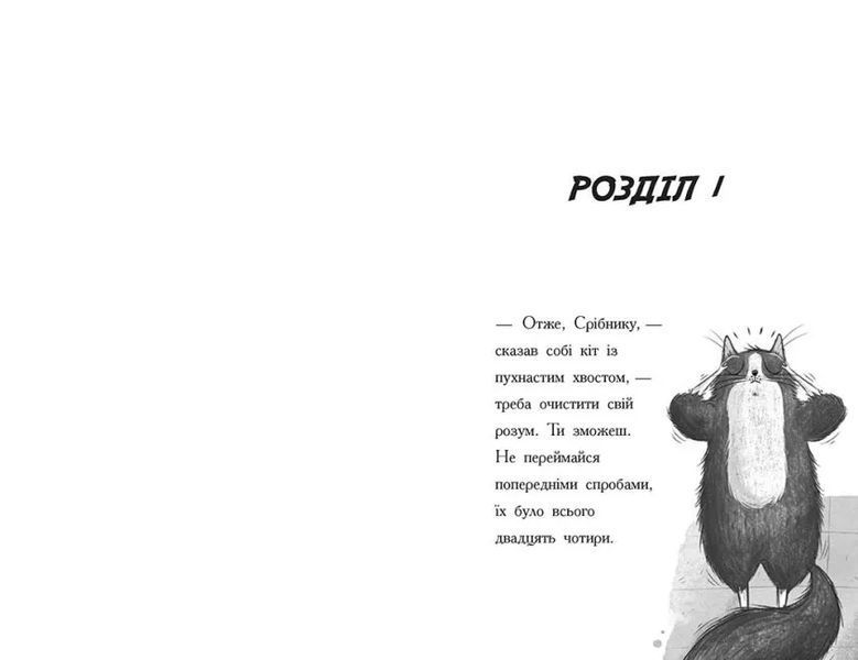 Тото. Кішка-ніндзя та справа про викрадення сиру. Книга 2 10311015522 фото
