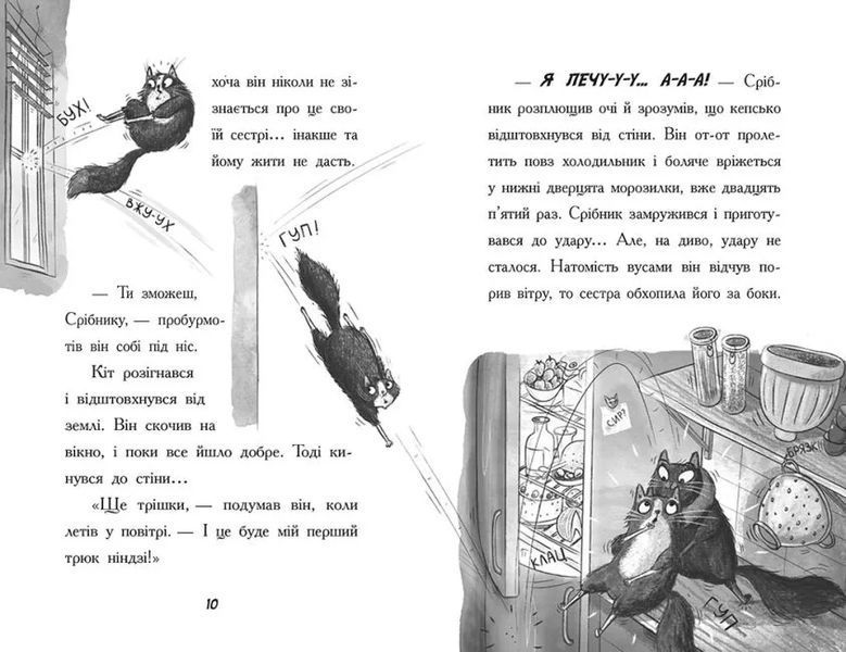 Тото. Кішка-ніндзя та справа про викрадення сиру. Книга 2 10311015522 фото