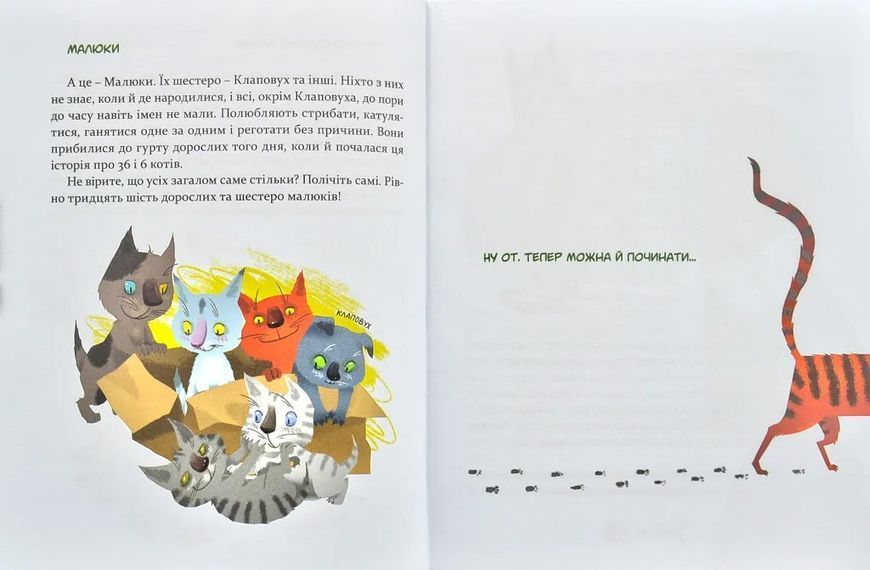 36 і 6 котів (вусато-хвостата історія для дітей) 1031141056 фото
