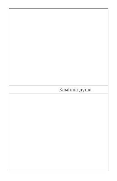 Камінна душа 10311031576 фото
