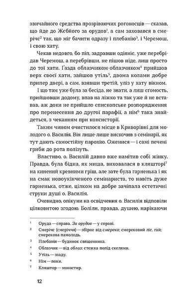 Камінна душа 10311031576 фото