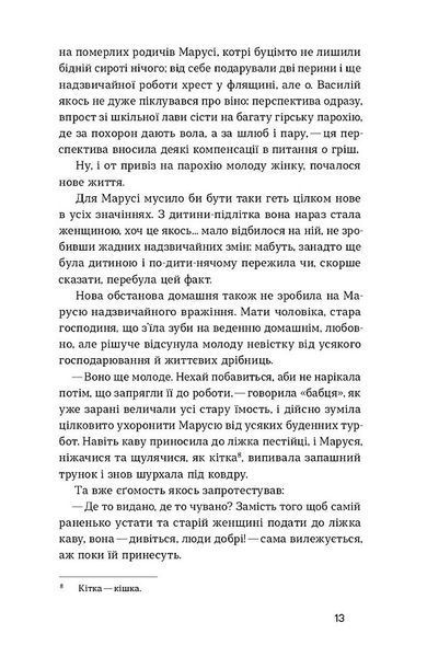 Камінна душа 10311031576 фото