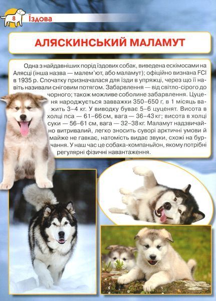 Енциклопедія. Собаки 10311024575 фото