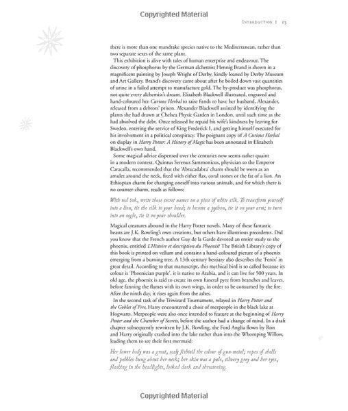 Harry Potter &ndash; A History of Magic 10311023563 фото
