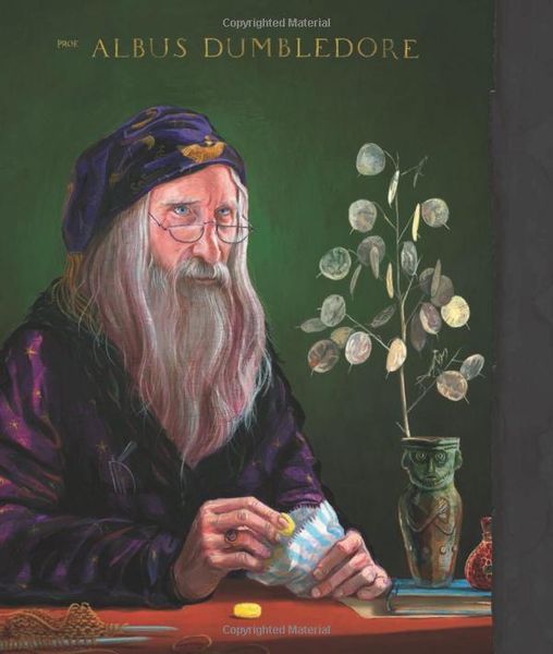 Harry Potter &ndash; A History of Magic 10311023563 фото