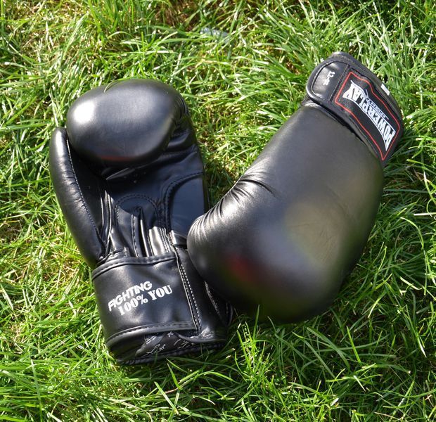 Боксерські рукавиці PowerPlay 3004 Classic Чорні 12 унцій PP_3004_12oz_Black фото