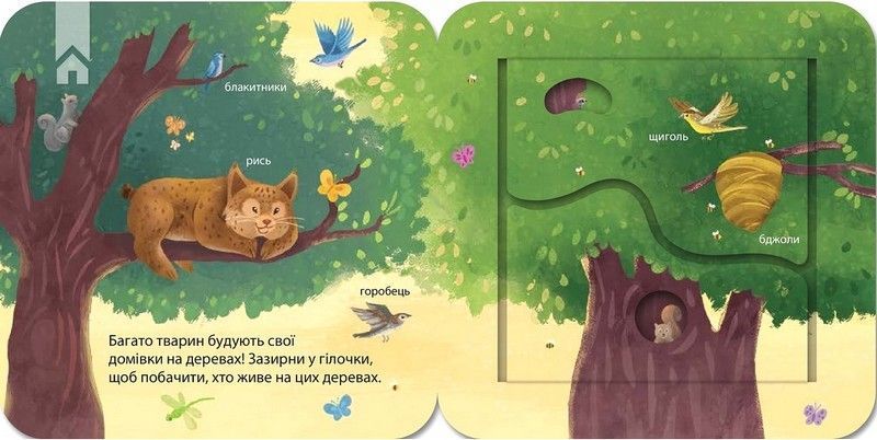 Хто живе у лісі? Зазирни у віконечко 10311024038 фото