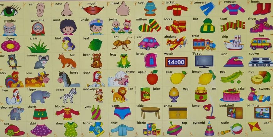 Вивчаємо English. Розвивалочка 10311014976 фото