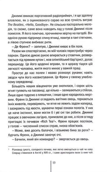 Зруйнована країна 10311033952 фото