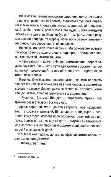 Зруйнована країна 10311033952 фото