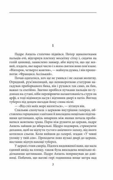 Чорні дні 10311032825 фото