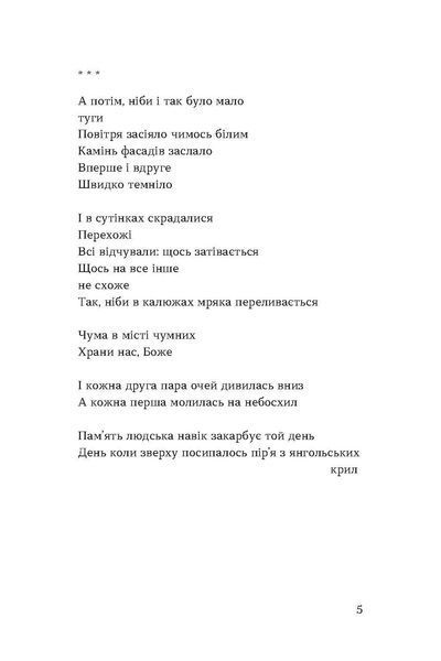 Тонка коричнева лінія 10311028480 фото