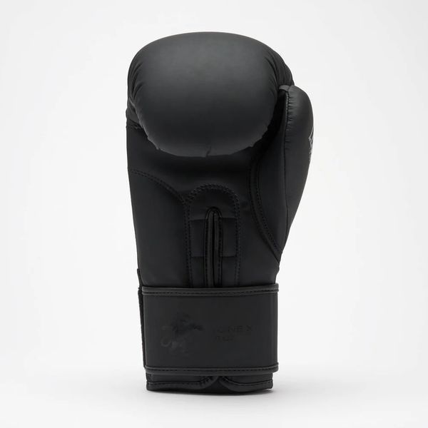Боксерські рукавиці Leone GN058 TONE X Black 10 унцій GN058_Black_10oz фото