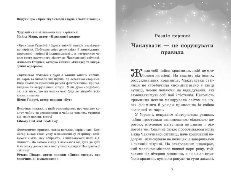 Крихітка Єстедей і чайник хаосу. Книга 2 10311023133 фото