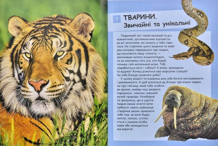 Ілюстрована дитяча енциклопедія у запитаннях і відповідях 1031140413 фото