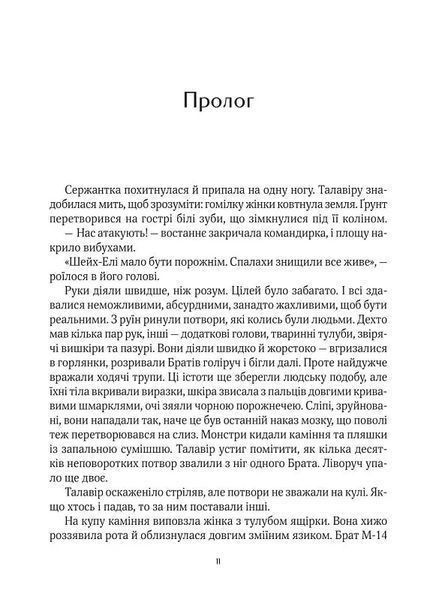 Дім солі 10311018784 фото