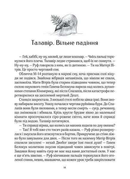 Дім солі 10311018784 фото