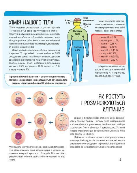 Тіло людини. Дитяча ілюстрована енциклопедія 10311018651 фото