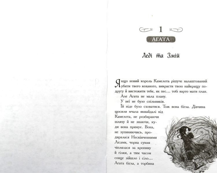 Школа Добра і Зла. Кристал часу. Книга 5 10311005678 фото