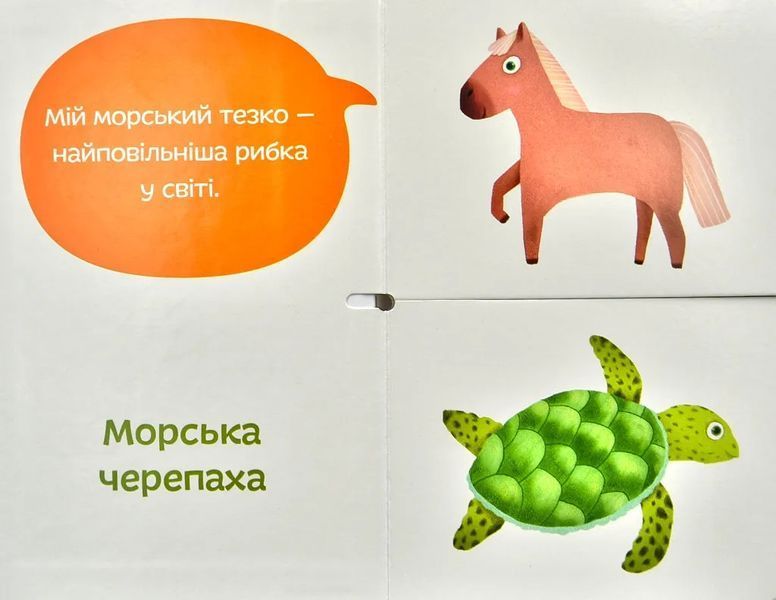 Морські тезки. Міксуй і вивчай (картон) 10311000234 фото