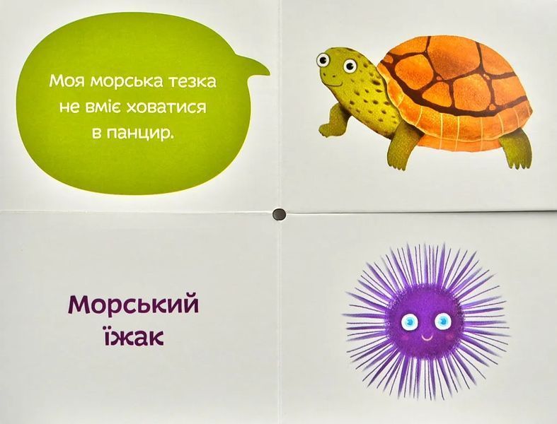 Морські тезки. Міксуй і вивчай (картон) 10311000234 фото