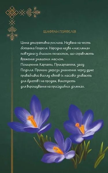 Щоденник Мавки. Весна 10311018069 фото