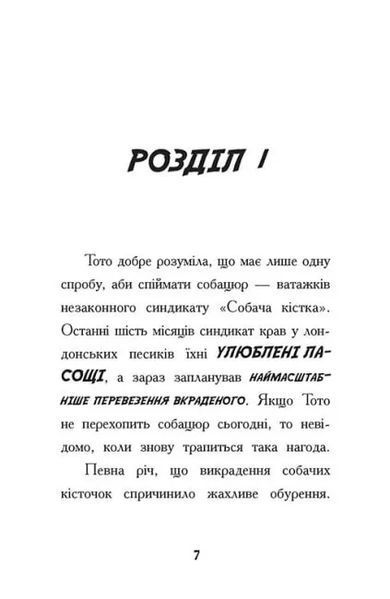 Тото. Кішка - ніндзя і КОТОстрофа суперзірки. Книга 3 10311019440 фото