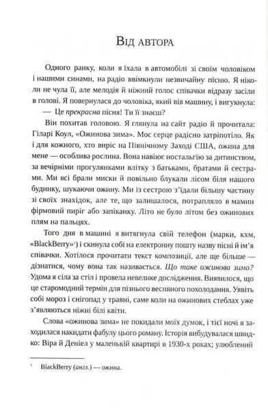 Ожинова зима 1031156477 фото
