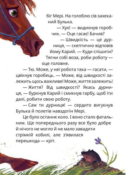 Мері 10311024703 фото