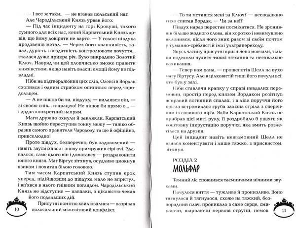 Чароділ. Книга 3. Чародільський град 1031145625 фото