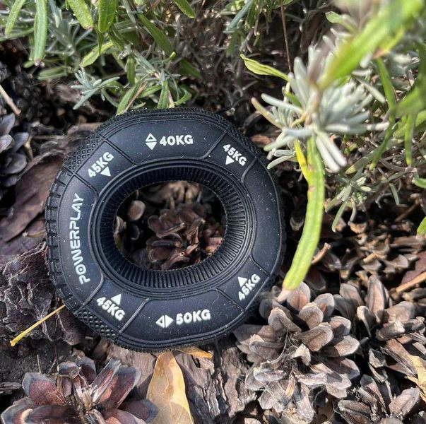 Еспандер кистьовий силіконовий PowerPlay PP-4331 Hand Grip Hard 40-45-50 кг. Чорний PP_4331_Black_(40-45-50) фото