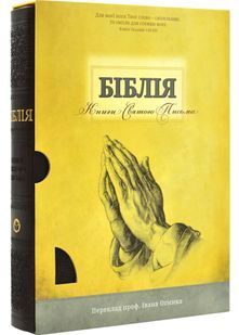 Біблія (замінник шкіри, темно-коричнева) 101-85-09 10311029902 фото