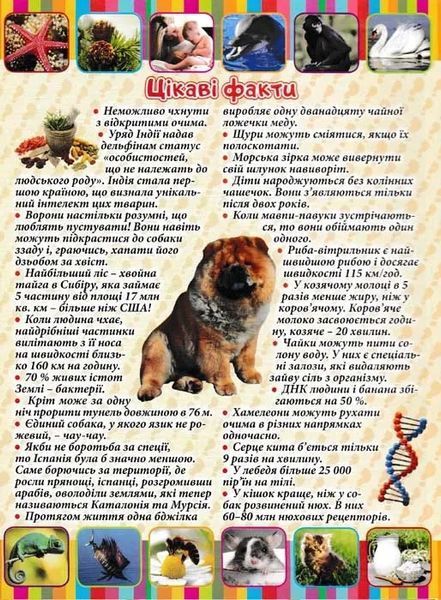 Про все на світі. Енциклопедія у казках та оповіданнях (жовта обкладинка) 1031154989 фото