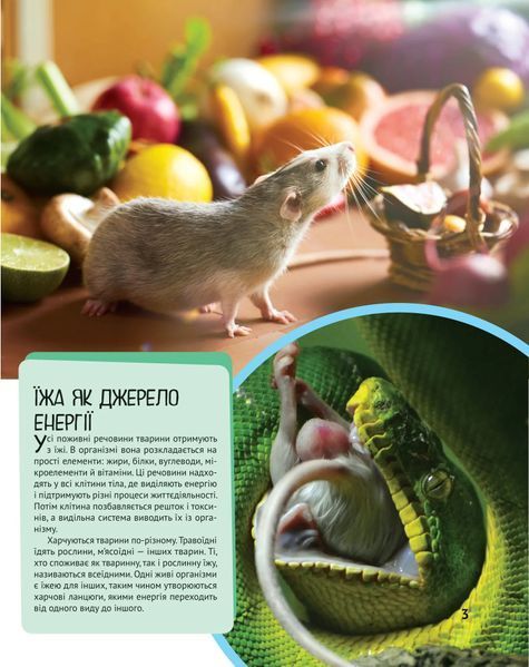 Тварини. Дитяча ілюстрована енциклопедія - 10311018650 фото