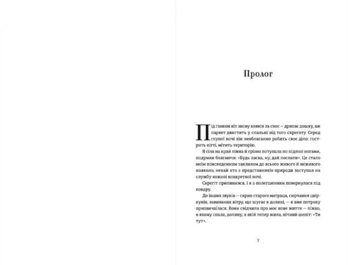 Ідеальна незнайомка 10311009232 фото