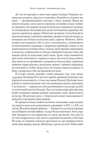 Американська мрія 10311025386 фото