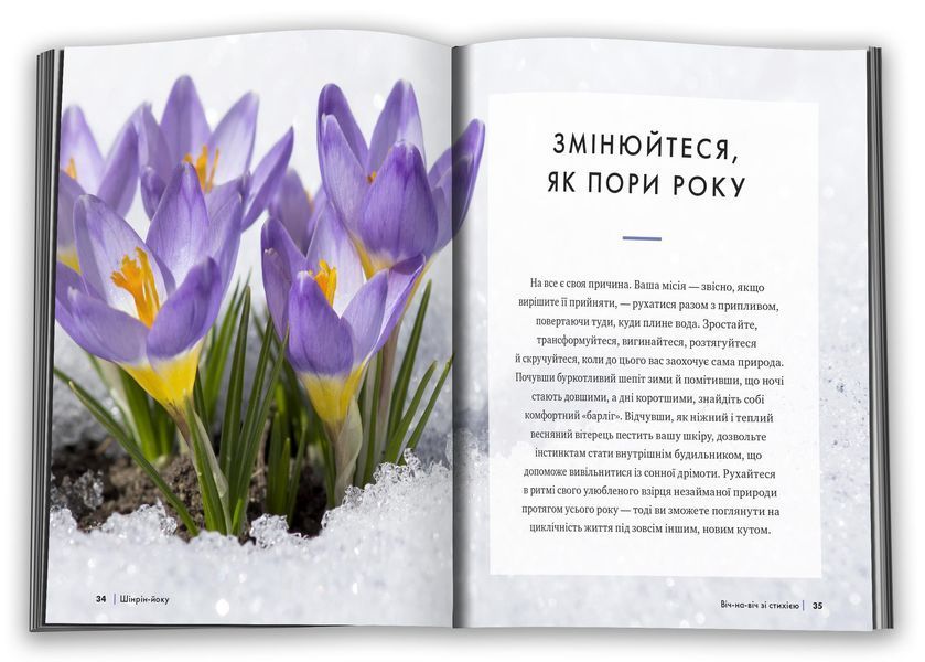 Шінрін-йоку. Цілюще мистецтво лісотерапії 10311028076 фото