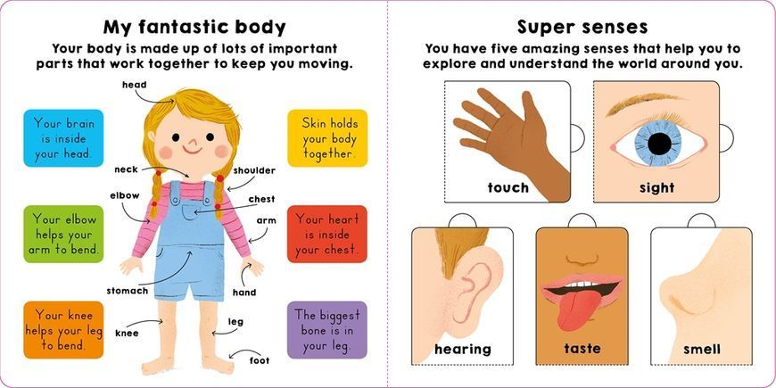 My Little World: My Body 10311029165 фото