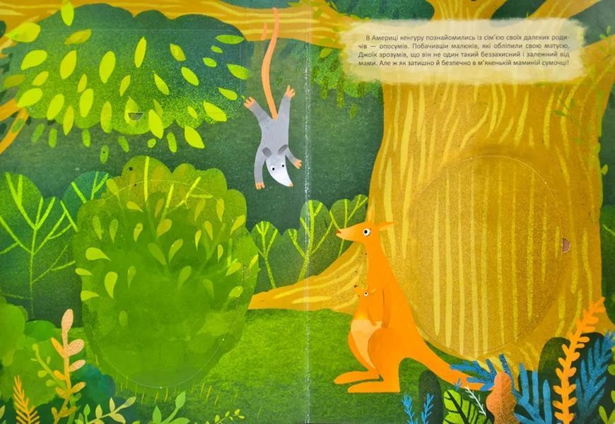 Такий особливий Джоїк. Книжка з віконцями (формат А4) 1031169550 фото