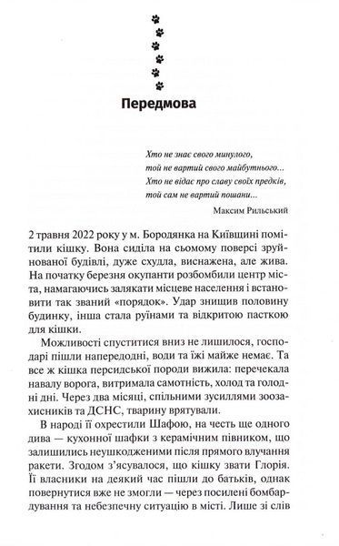 9 життів кішки Шафи 10311034457 фото
