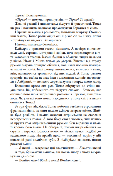 Випробування вогнем. Той, що біжить Лабіринтом. Книга 2 10311030356 фото