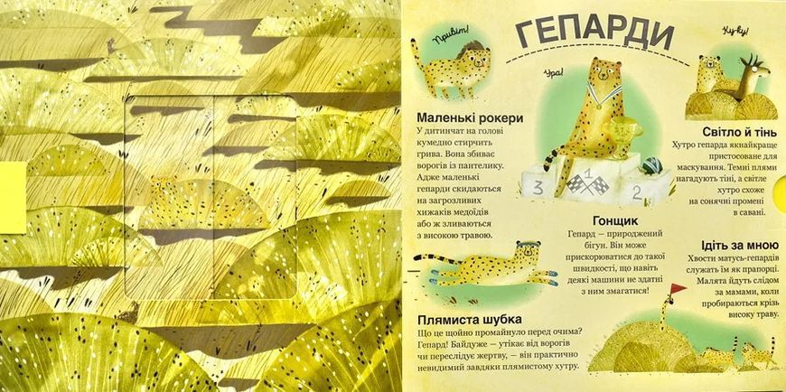 Хто ховається між листям й у воді? 10311000137 фото
