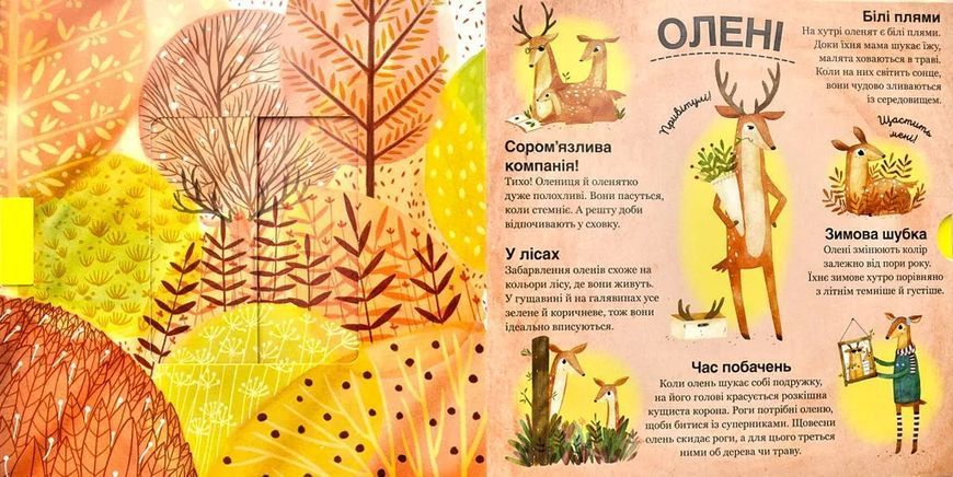 Хто ховається між листям й у воді? 10311000137 фото