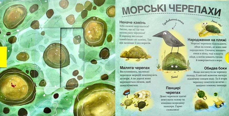 Хто ховається між листям й у воді? 10311000137 фото